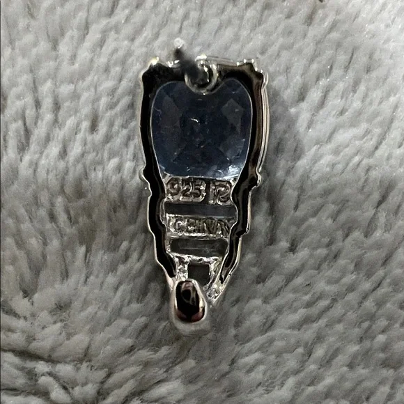 Elegant Sterling Silver and Blue Earrings - Picture 5 of 5